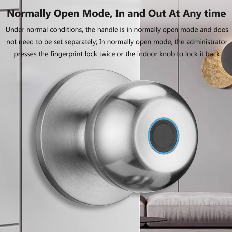 Tuya Door Lock Smart Fingerpri - Door Lock Smart Keypad 评论和价格