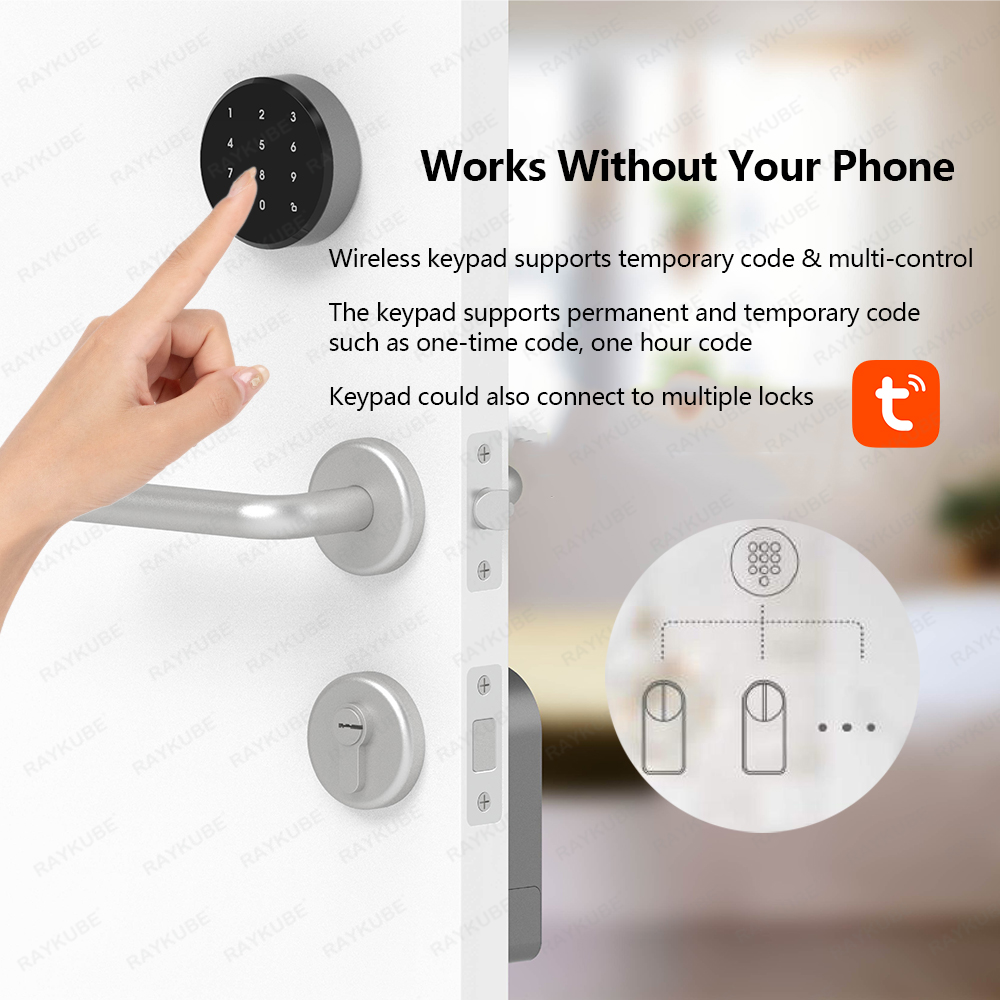 RAYKUBE A1 Pro Tuya BEL Smart  - Door Lock Smart Keypad 评论和价格