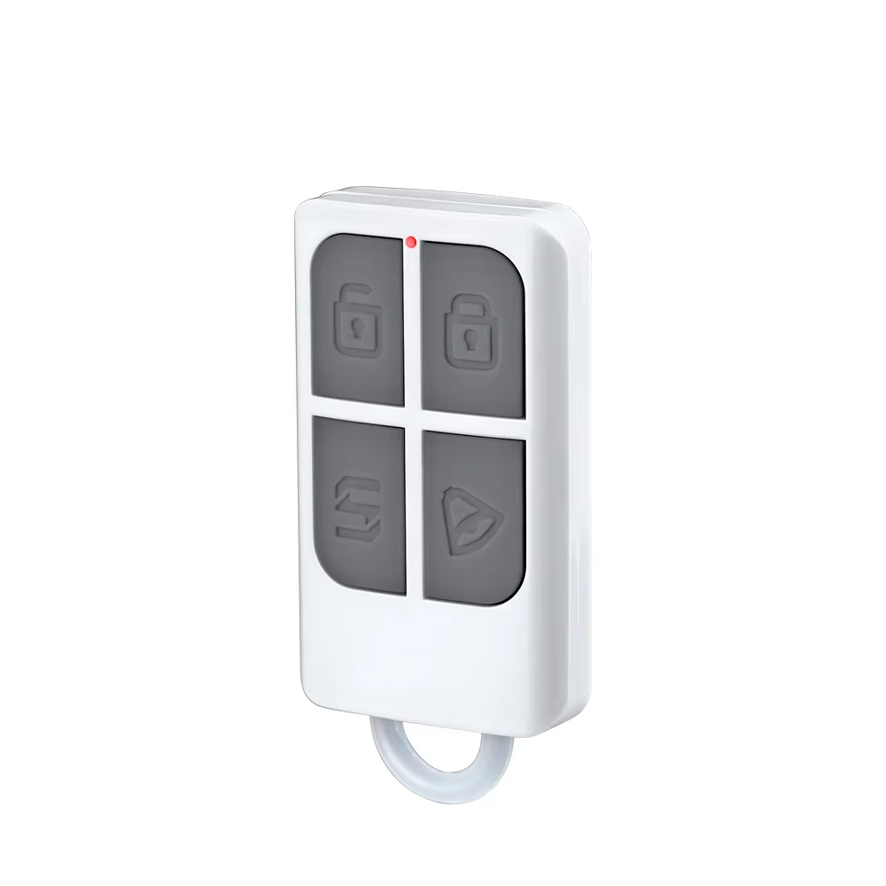 RC531 Wireless Portable Remote - Home Security Tips 评论和价格