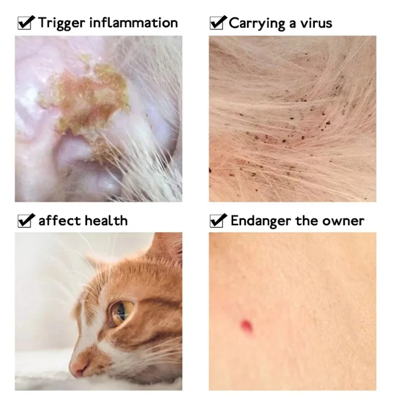 Anti Flea Tick Collar For Cat  - Pet Immune Pir Sensor 评论和价格