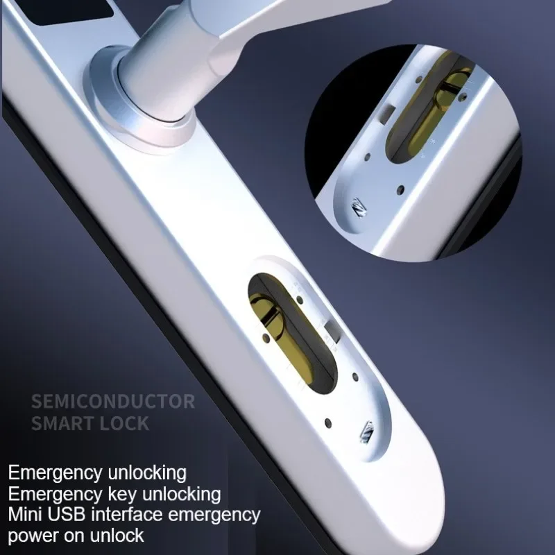 TTLock/Tuya Smart Door Lock Fi - Door Lock Smart Keypad 评论和价格