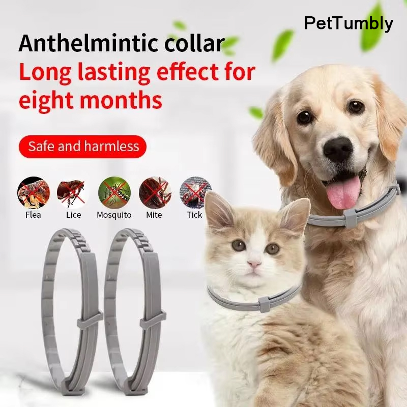 New Releases Dog Collar,Cat An - Pet Immune Pir Sensor 评论和价格