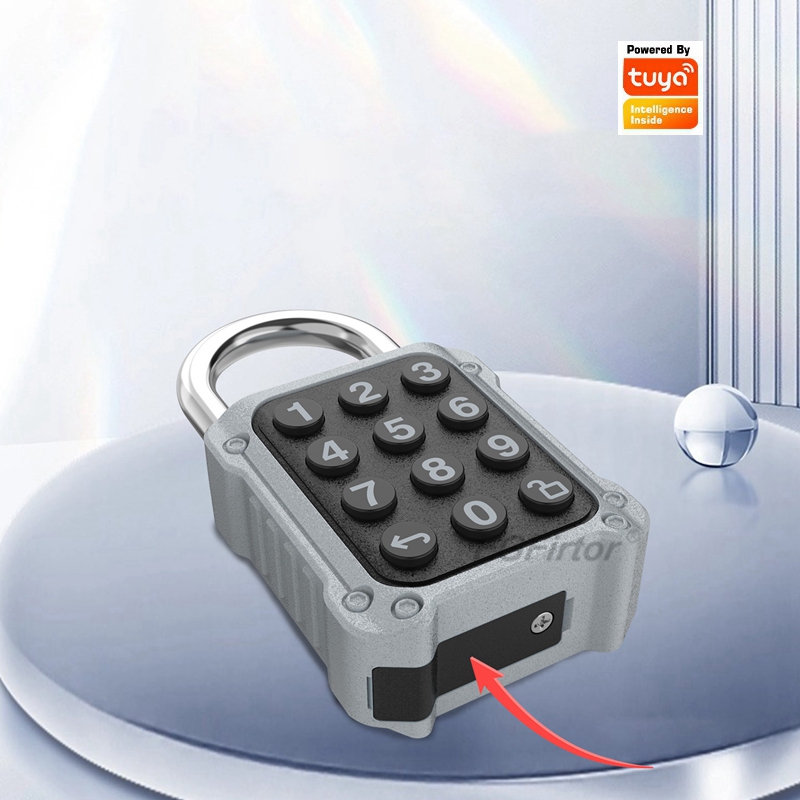 EGFirtor Tuya APP Electronic S - Door Lock Smart Keypad 评论和价格